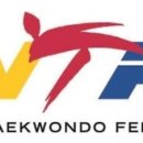 국가대표 한빛태권도 이미지