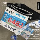 성우하이텍 | 2026년 KNN 성우하이텍배 환경마라톤 후기