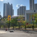 향동숲내초등학교 이미지