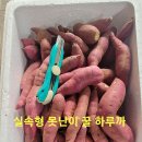 둥글이네 이미지