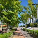 경명초등학교 정문 이미지