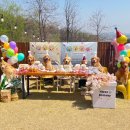 쿨스타스 이미지