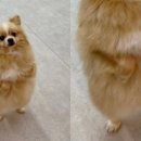 그레이프유치원 이미지