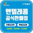 와우선불폰선불유심 네이버블로그