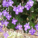 시흥농장 이미지