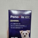 더펫프리미엄 | 강아지 유산균 추천! 페노비스 펫 프리미엄 유산균 먹인 후기