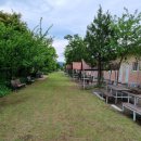 일명타운 펜션 이미지