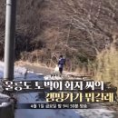 화자씨 이미지