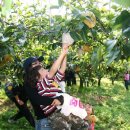 유별난마을 이미지