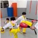 운암태권도 이미지