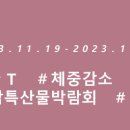 이여사77번건어물 이미지