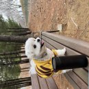 서재체육공원 이미지
