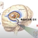 파킨슨병의 증상 관리와 병원비 절감 방법 이미지