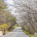 낙안읍성 관광안내소 이미지