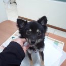 목동중앙로 이미지