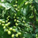 현재농장 이미지