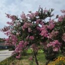 운상농장 이미지