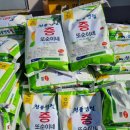 또순이네 이미지