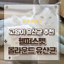 헬퍼스 | 고양이 면역력 프로바이오틱스 헬퍼스펫 올라운드 유산균 급여후기