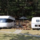 힐링독파크 이미지