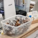 동이김치찌개 | 대구 대명동 맛집 한정식 카페동이 방문후기