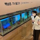 비디오백화점 이미지