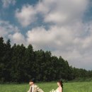 연일플라워 이미지