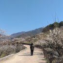 원동마을길 이미지