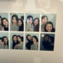 통큰딱따구리 이미지