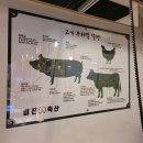 임팩트축산 이미지