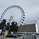 모텔짝 | 아이랑 속초 가볼만한곳 속초아이 대관람차 내돈내산 후기 | 유모차/할인/무서움(?) 체크!