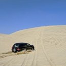 아이보리매직 이미지