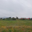 남원1리 | 혼자 제주도 여행 첫째날❶ : 김포공항 국내선, 티웨이 항공 이용후기, 보말칼국수