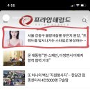 현애견미용실 이미지