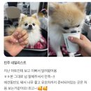 808네일 이미지