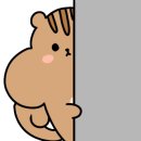 이루다바디핏
