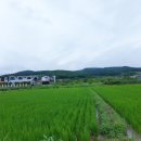 실라마실1 이미지