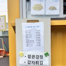 888 | 수원 애견놀이터 888 펫타운 방문 후기