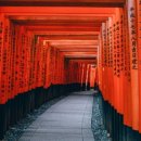 모모잉글리쉬스튜디오
