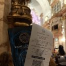 목동성당(성당 앞, 성당뒤 사잇길) | 비엔나 카를 성당 비발디 사계 후기, 추천여부