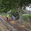 세가래로 이미지