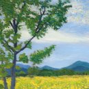 그림이 쉬워지는 드로잉(소묘) | 창원 성인 미술학원 풍경화 잘 그리는 법｜감성보다 기초 드로잉이 먼저인 이유