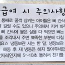 호두네점빵 이미지