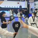 아리랑미트