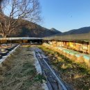 만세동농장 이미지