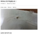 모기 새끼 다양하게 고문하는 모기 갤러리.jpgif 이미지