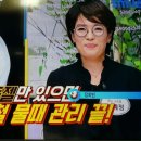 만물상 강혜정의 만능소독젤, 만능청소젤 이미지