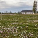 언덕위에집 이미지