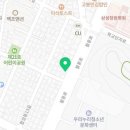 커들리 퍼피 창원강아지 분양 이미지