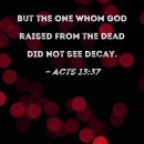 Bible Reading - Acts 13:32~41 이미지